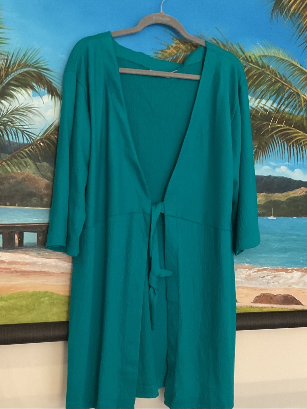 Belle by Kim Gravel Teal Tie-Front Swim Coverup